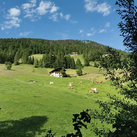 Bed & Breakfast Sonnblick *